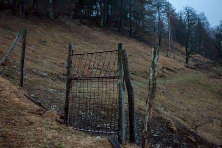 old door in fence on fieldの写真素材