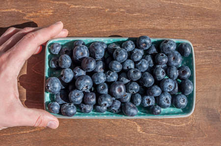fresh big blueberries in rectangular plate