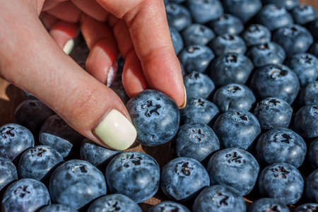 female hand picking one blueberryの写真素材