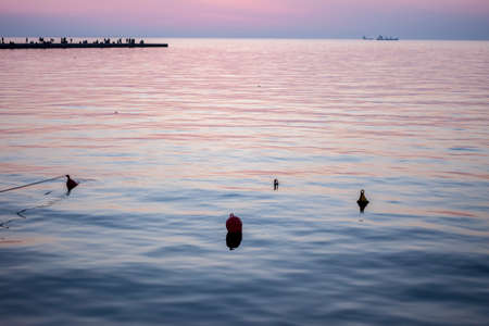 sunset in Trieste harborの写真素材