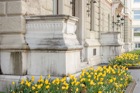 beautiful facade of university with flowerbedの写真素材