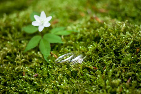 wedding rings lie on the green mossの写真素材