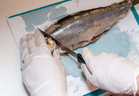 cook cleaning herring fish in the kitchenの写真素材