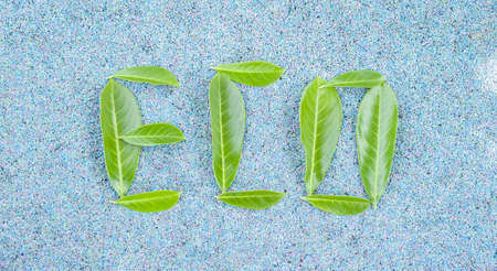eco word composed of green leavesの写真素材