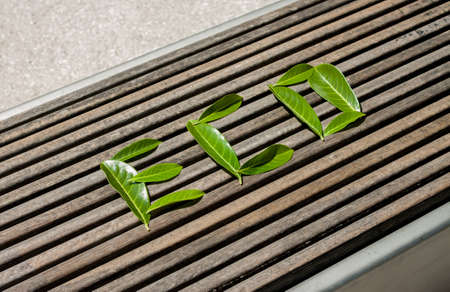 eco word composed of green leavesの写真素材