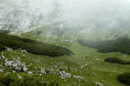 hikers on their way up to the top among fieldsの写真素材