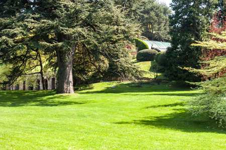 botanic garden with green treesの写真素材