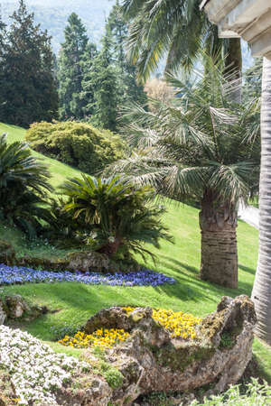 exotic garden Bellagio Italy Comoの写真素材