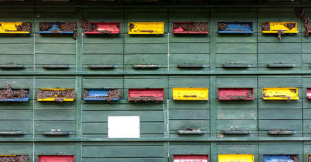 beehive in truck