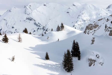 beautiful Alps mountain lanscape fir trees and rocks under snow