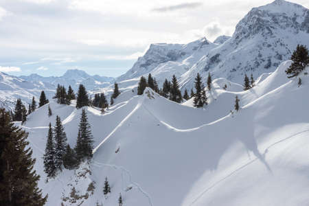 beautiful Alps mountain lanscape fir trees and rocks under snowの写真素材