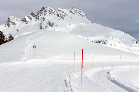 beautiful Alps mountain lanscape fir trees and rocks under snowの写真素材