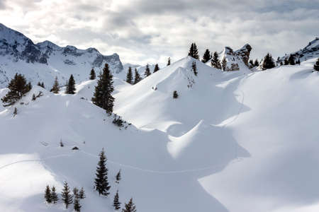 beautiful Alps mountain lanscape fir trees and rocks under snowの写真素材
