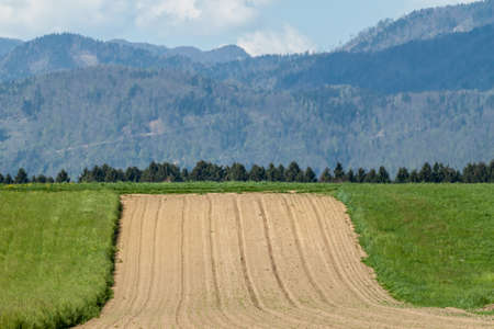 beautiful Alps over green field and village landscapeの写真素材