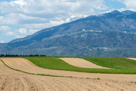 beautiful Alps over green field and village landscapeの写真素材