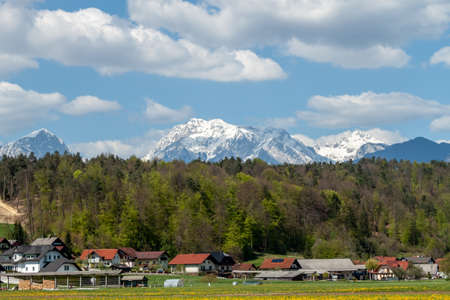 beautiful Alps over green field and village landscapeの写真素材