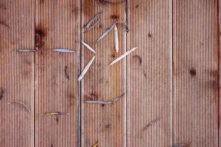 terrace siberian larch planks fluted closeup. Autumn leavesの写真素材