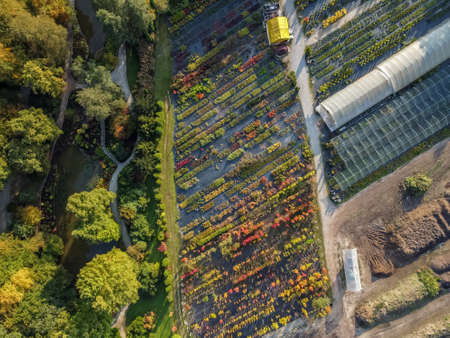 seedlings different plants on farm drone viewの写真素材