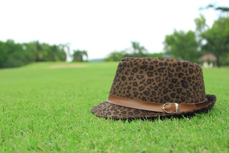 brown hat fall on the grassの写真素材