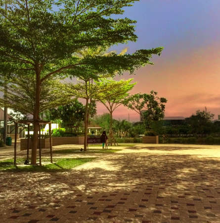 Sunset at Bangkok park の素材