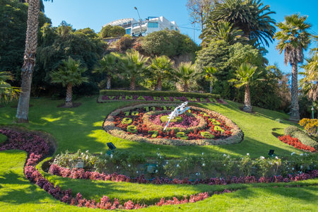 Flower clock or Reloj de Flores in Vina del Mar, Chile