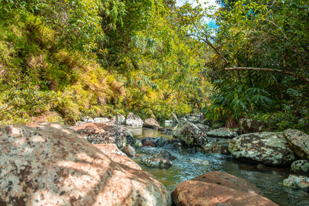 Hiking trail Cascade 500 pieds in the Black River Gorge National Park in Mauritius