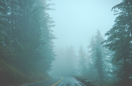 scenic view of the road in the forest with snow covered.の写真素材