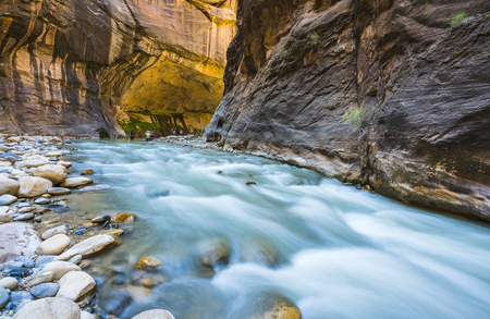 zion narrow  with  vergin river in Zion National park,Utah,usa.の写真素材