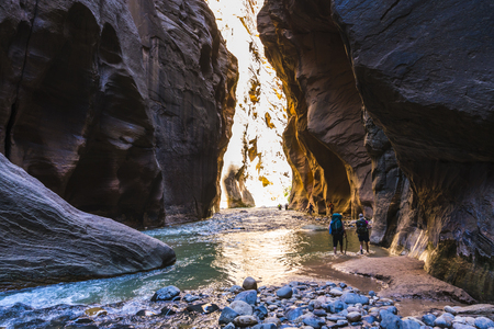 beautiful of narrow in the afternoon  in Zion National park,Utah,usa.の写真素材