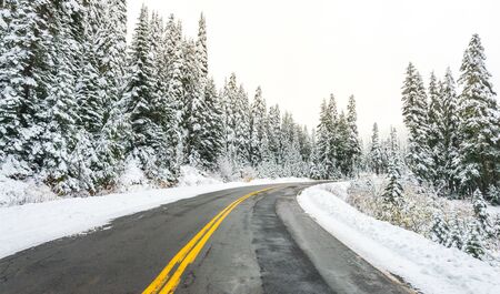 scenic view of the road in the forest with snow covered.の写真素材