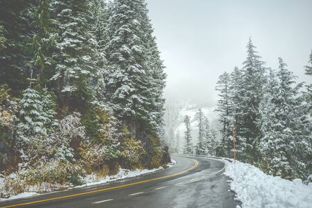 scenic view of the road in the forest with snow covered.の写真素材
