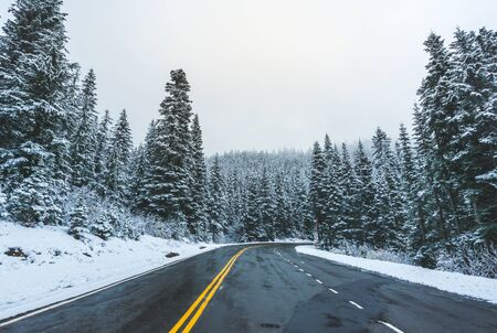 scenic view of the road in the forest with snow covered.の写真素材