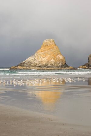 Oregon coastline landscape at sunset. Oregon state, usa.の写真素材