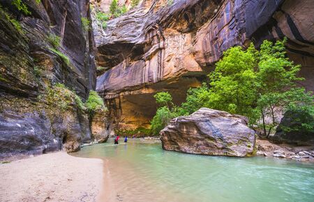 zion narrow  with  vergin river in Zion National park,Utah,usa.の写真素材