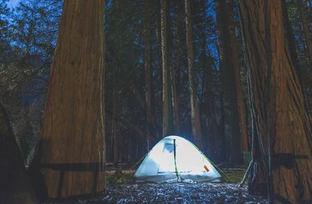 camping at night on full moon day in campground area in National park,usa.の写真素材