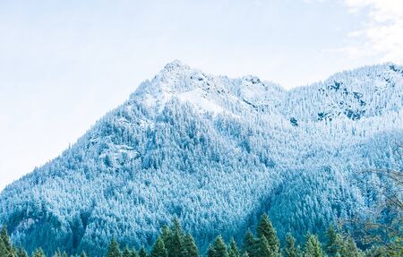 scenic view of top of the snow mountain in the morning in mt Rainier national park ,Washington,USA...の写真素材