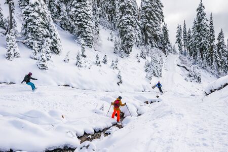 Skier skiing  on sunny day,mt Rainier national park,Washington,USA..の写真素材