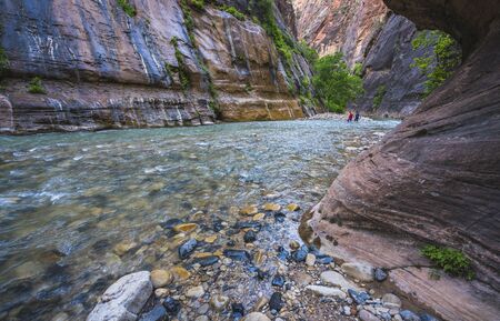 zion narrow  with  vergin river in Zion National park,Utah,usa.の写真素材