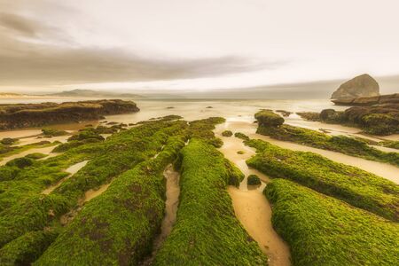 scenic view of Kiwanda coast beach rock in the sunset,Oregon,usa.の写真素材