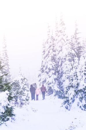family walk in snow forest on holiday.の写真素材