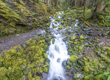lover's lane fall,water fall before  to Sol duc fall in  national park area,Washington,usa.の写真素材