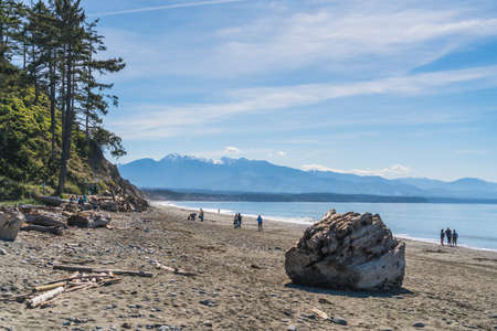 beach with mt Olympic  background in Dungeness national wildlife refuge,Washington,usa.