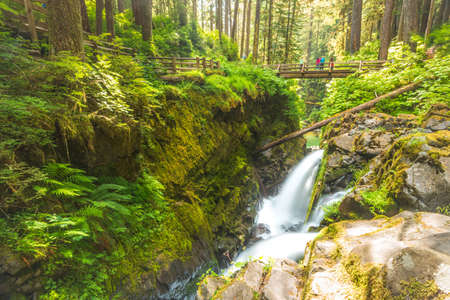 scenic view of  Sol duc  water falls area  in mt Olympic National park,Washington,usa.のeditorial素材