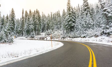 scenic view of the road in the forest with snow covered.の写真素材