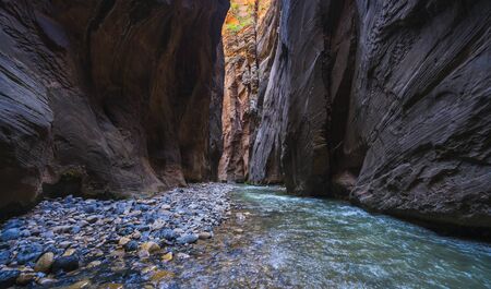 beautiful of narrow in the afternoon  in Zion National park,Utah,usa.の写真素材
