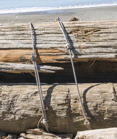 log bind by wired rope sling.の写真素材
