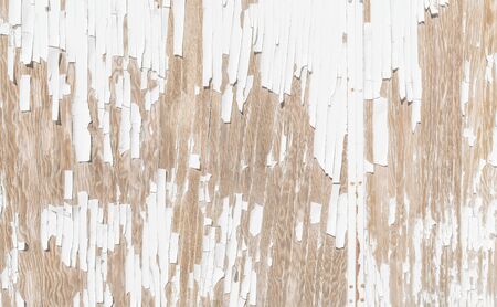 old white wood wall background.の写真素材