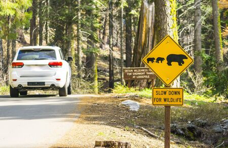 bear sign on the road in national park.の写真素材
