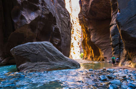 beautiful of narrow in the afternoon  in Zion National park,Utah,usa.の写真素材