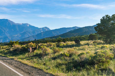 Great sand dune national park on the day,Colorado,usa.の写真素材